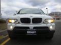 Alpine White - X5 3.0i Photo No. 11