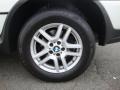 Alpine White - X5 3.0i Photo No. 31