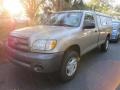 2004 Desert Sand Mica Toyota Tundra Regular Cab  photo #4