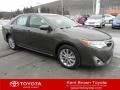 Cypress Green Pearl - Camry XLE Photo No. 1