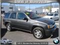 2007 Graystone Metallic Chevrolet TrailBlazer LS  photo #1