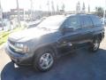 2007 Graystone Metallic Chevrolet TrailBlazer LS  photo #25