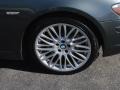 2008 Titanium Grey Metallic BMW 7 Series 750i Sedan  photo #2