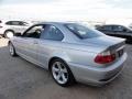 2004 Titanium Silver Metallic BMW 3 Series 325i Coupe  photo #10