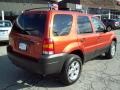 2006 Blazing Copper Metallic Ford Escape XLT V6 4WD  photo #5