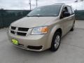 White Gold Pearl - Grand Caravan SE Photo No. 7