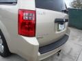 White Gold Pearl - Grand Caravan SE Photo No. 21