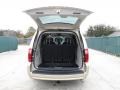 White Gold Pearl - Grand Caravan SE Photo No. 30