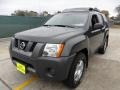 Night Armor Pearl - Xterra S Photo No. 7