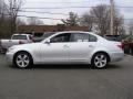 Titanium Silver Metallic 2008 BMW 5 Series 528xi Sedan Exterior
