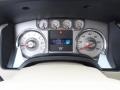 Chaparral Leather/Camel Gauges Photo for 2009 Ford F150 #59455427
