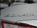 Radiant Silver - Sonata GLS Photo No. 15