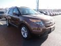 2012 Golden Bronze Metallic Ford Explorer Limited  photo #7