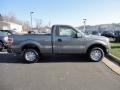 Sterling Gray Metallic 2012 Ford F150 XL Regular Cab Exterior