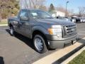 Sterling Gray Metallic 2012 Ford F150 XL Regular Cab Exterior