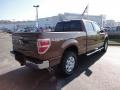 Golden Bronze Metallic - F150 XLT SuperCrew 4x4 Photo No. 5