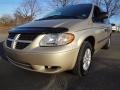 Linen Gold Metallic - Grand Caravan SE Photo No. 1