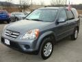 Pewter Pearl - CR-V Special Edition 4WD Photo No. 1