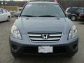 2005 Pewter Pearl Honda CR-V Special Edition 4WD  photo #8