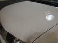 Avalanche White - Frontier SE V6 King Cab Photo No. 18