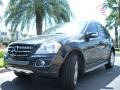 Black - ML 350 4Matic Photo No. 2