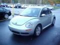 Reflex Silver - New Beetle S Coupe Photo No. 4