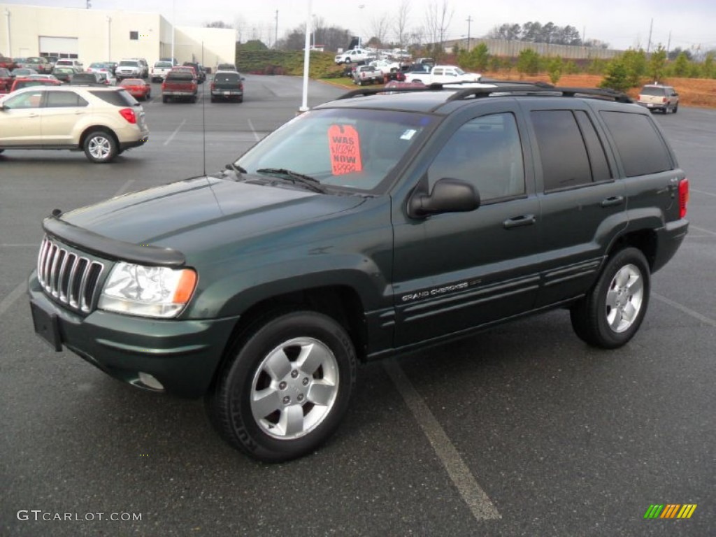 2001 Grand Cherokee Limited 4x4 - Shale Green Metallic / Agate photo #1