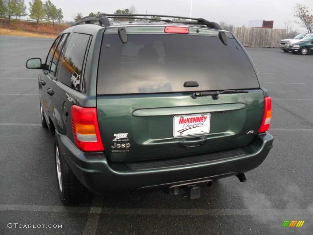 2001 Grand Cherokee Limited 4x4 - Shale Green Metallic / Agate photo #5