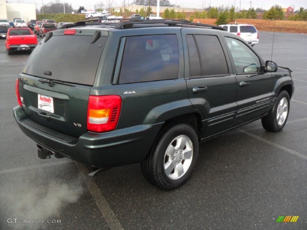 2001 Grand Cherokee Limited 4x4 - Shale Green Metallic / Agate photo #6