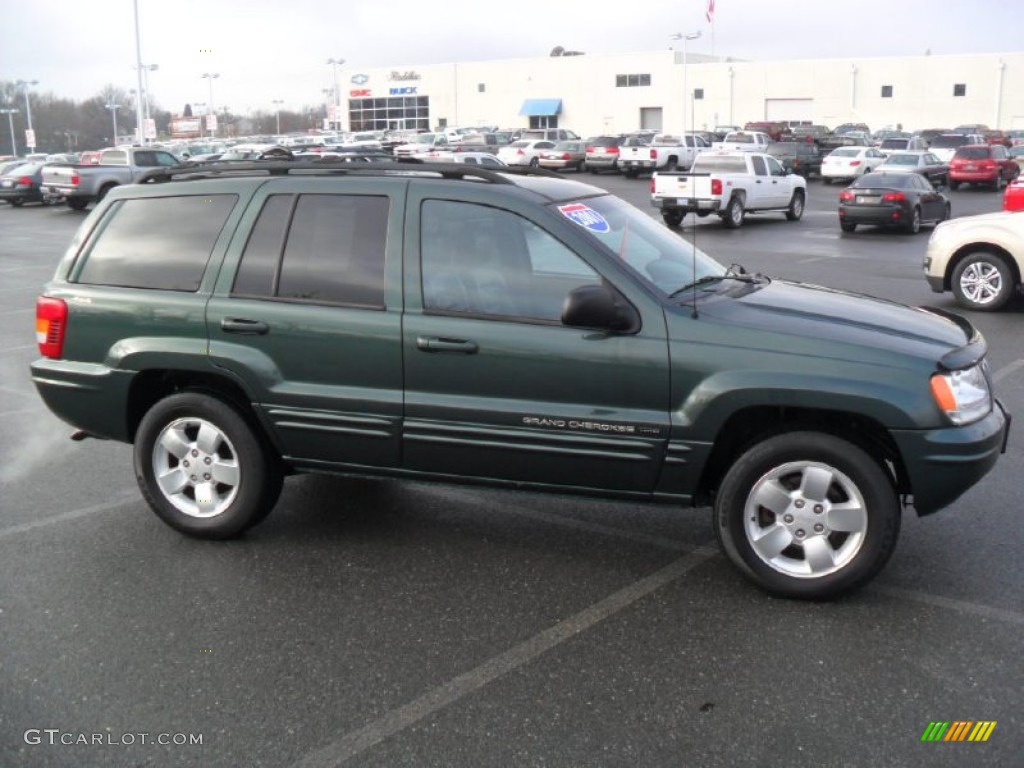 2001 Grand Cherokee Limited 4x4 - Shale Green Metallic / Agate photo #7
