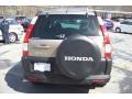 Sahara Sand Metallic - CR-V EX 4WD Photo No. 22
