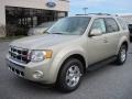 2012 Gold Leaf Metallic Ford Escape Limited 4WD  photo #1