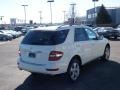 Arctic White - ML 350 4Matic Photo No. 2