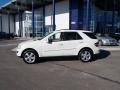 Arctic White - ML 350 4Matic Photo No. 3