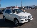 Arctic White - ML 350 4Matic Photo No. 7