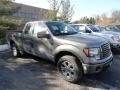 2012 Sterling Gray Metallic Ford F150 FX4 SuperCab 4x4  photo #1