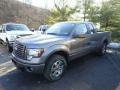 2012 Sterling Gray Metallic Ford F150 FX4 SuperCab 4x4  photo #5