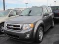 2012 Sterling Gray Metallic Ford Escape XLT V6 4WD  photo #1