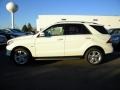 Arctic White - ML 350 4Matic Photo No. 5