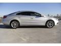 Reflex Silver Metallic - CC Luxury Photo No. 9