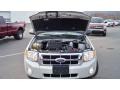 2009 Light Sage Metallic Ford Escape XLT V6 4WD  photo #23