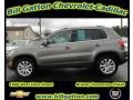 2009 Alpine Grey Metallic Volkswagen Tiguan SE  photo #1