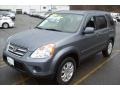 2006 Pewter Pearl Honda CR-V SE 4WD  photo #3