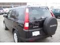 2006 Nighthawk Black Pearl Honda CR-V EX 4WD  photo #16