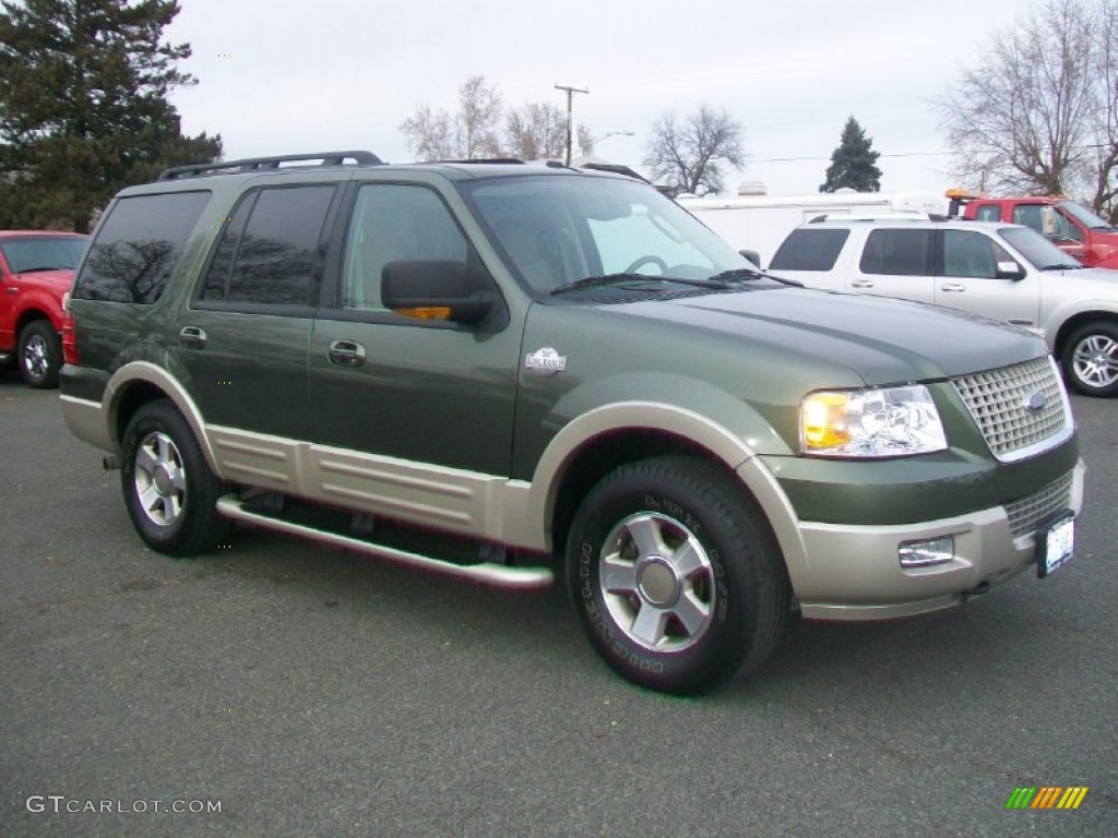 2005 Expedition King Ranch 4x4 - Estate Green Metallic / Castano Leather photo #1