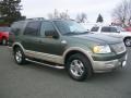 2005 Estate Green Metallic Ford Expedition King Ranch 4x4  photo #1
