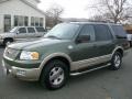 2005 Estate Green Metallic Ford Expedition King Ranch 4x4  photo #5