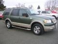 2005 Estate Green Metallic Ford Expedition King Ranch 4x4  photo #41