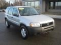 2004 Satin Silver Metallic Ford Escape XLS V6 4WD  photo #1