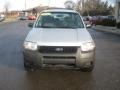 Satin Silver Metallic - Escape XLS V6 4WD Photo No. 11